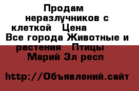 Продам 2 неразлучников с клеткой › Цена ­ 2 500 - Все города Животные и растения » Птицы   . Марий Эл респ.